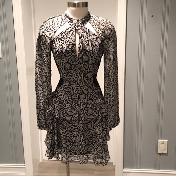 bcbg animal print dress